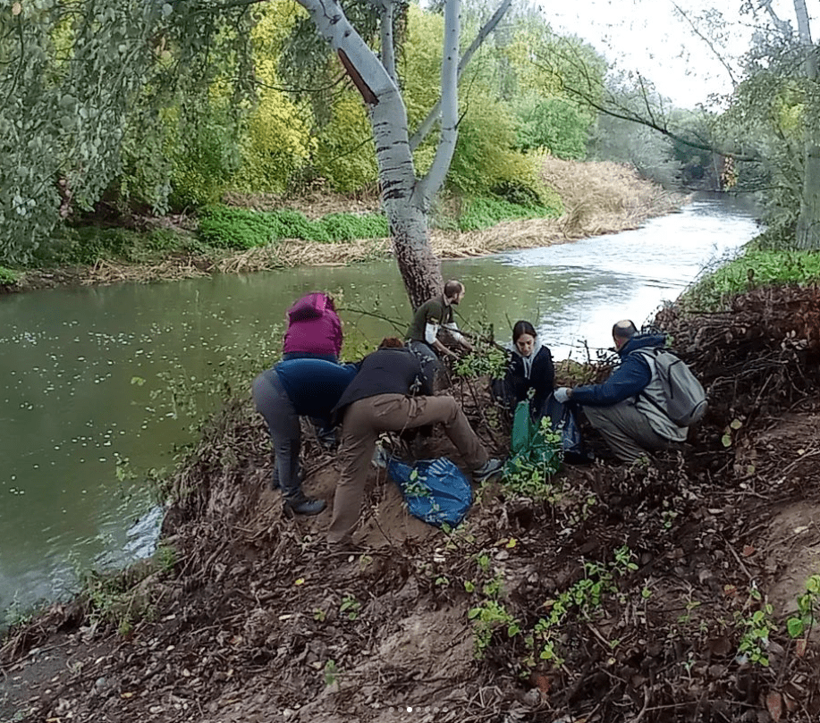 Grupo de voluntarios liberando un árbol de toallitas