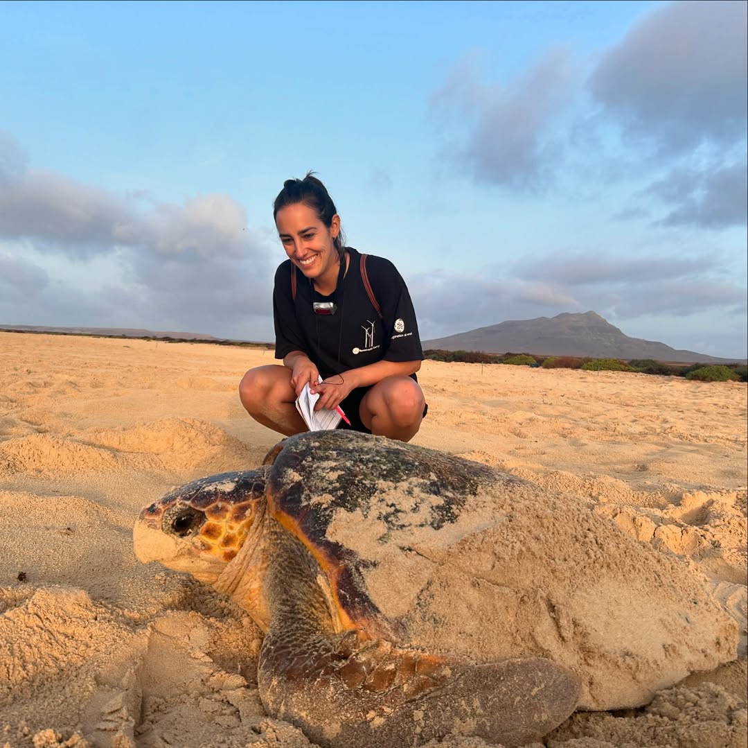 Voluntariado con tortugas en Boa Vista