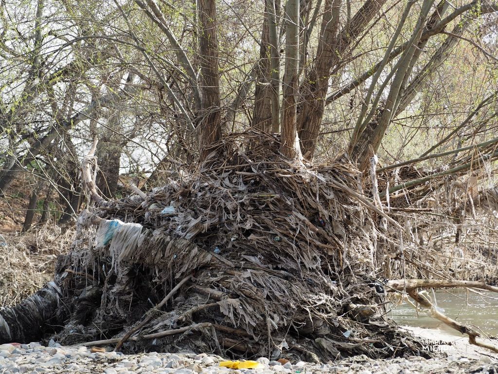 Árbol lleno de toallitas
